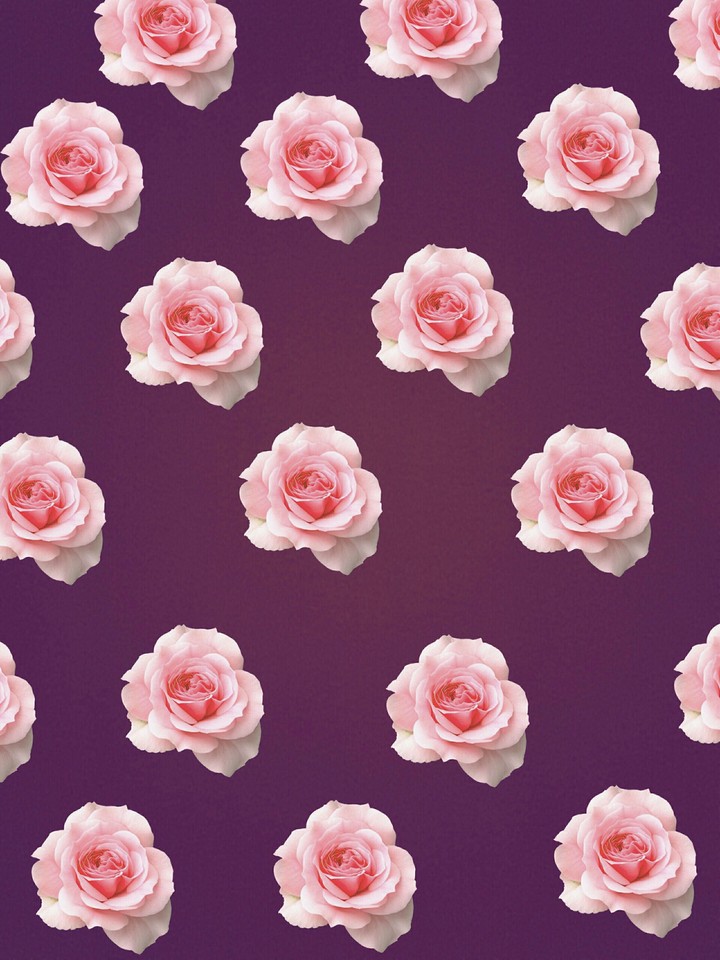 Flower Pattern