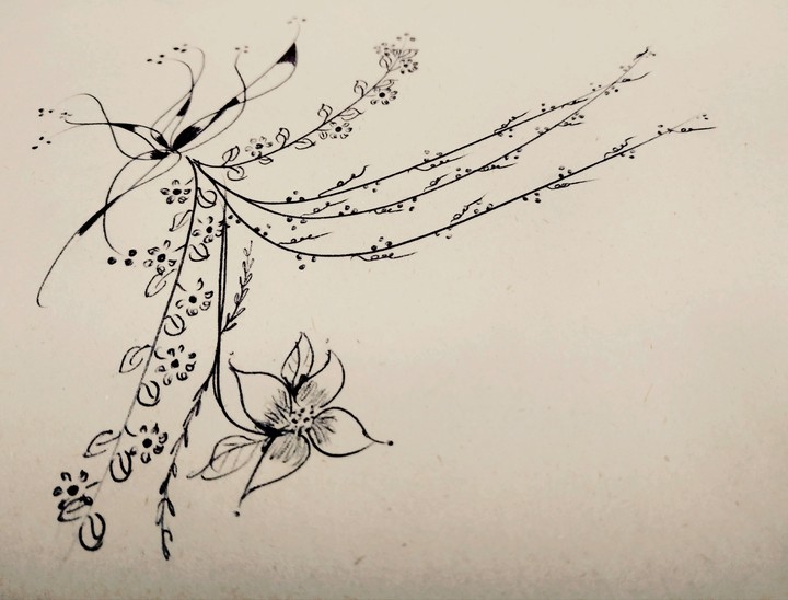 Dibujo
