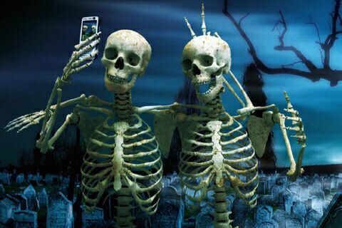 Friends forever