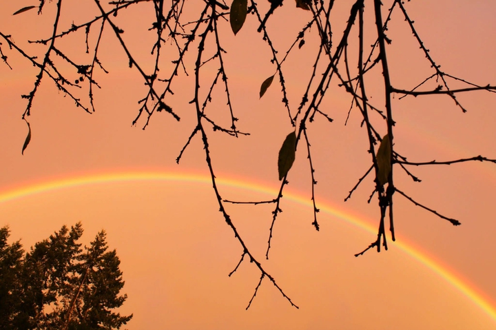 rainbow