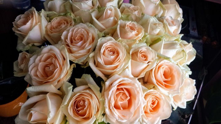 roses