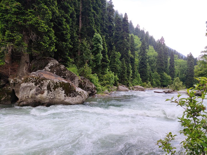 Nature