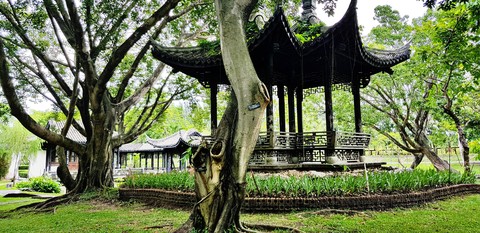 garden, Bangkok Thailand