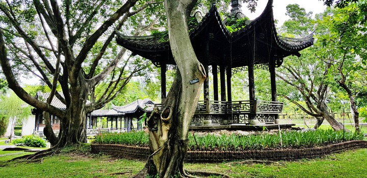 garden, Bangkok Thailand