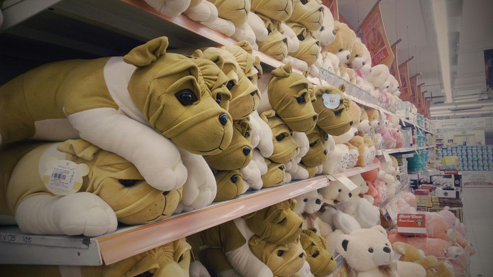 toys looking so cute