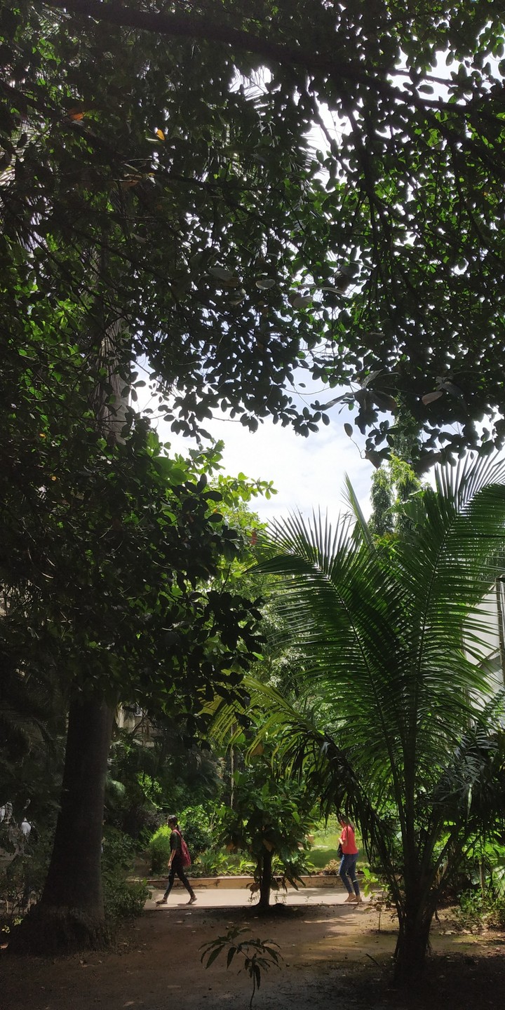 Green Garden