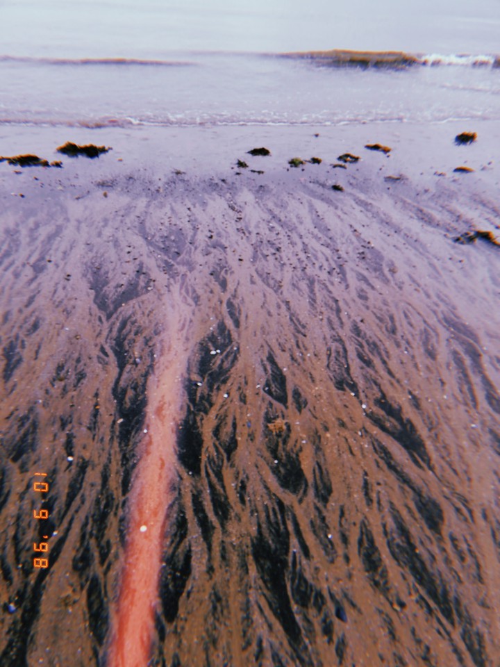 mare