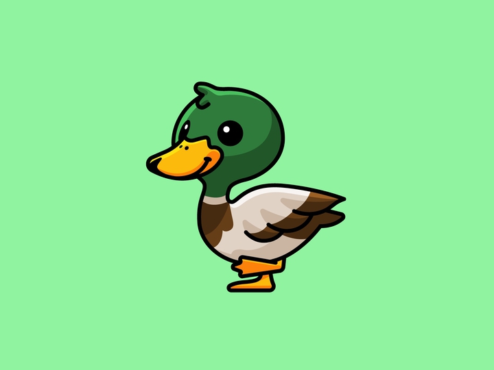 Duck wallpaper