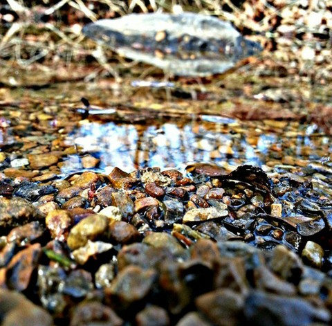 #rocks