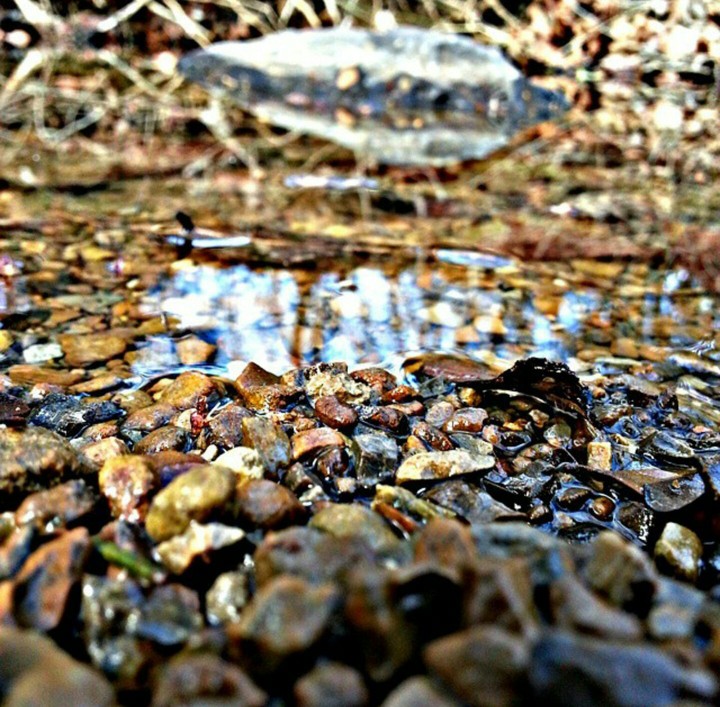 #rocks