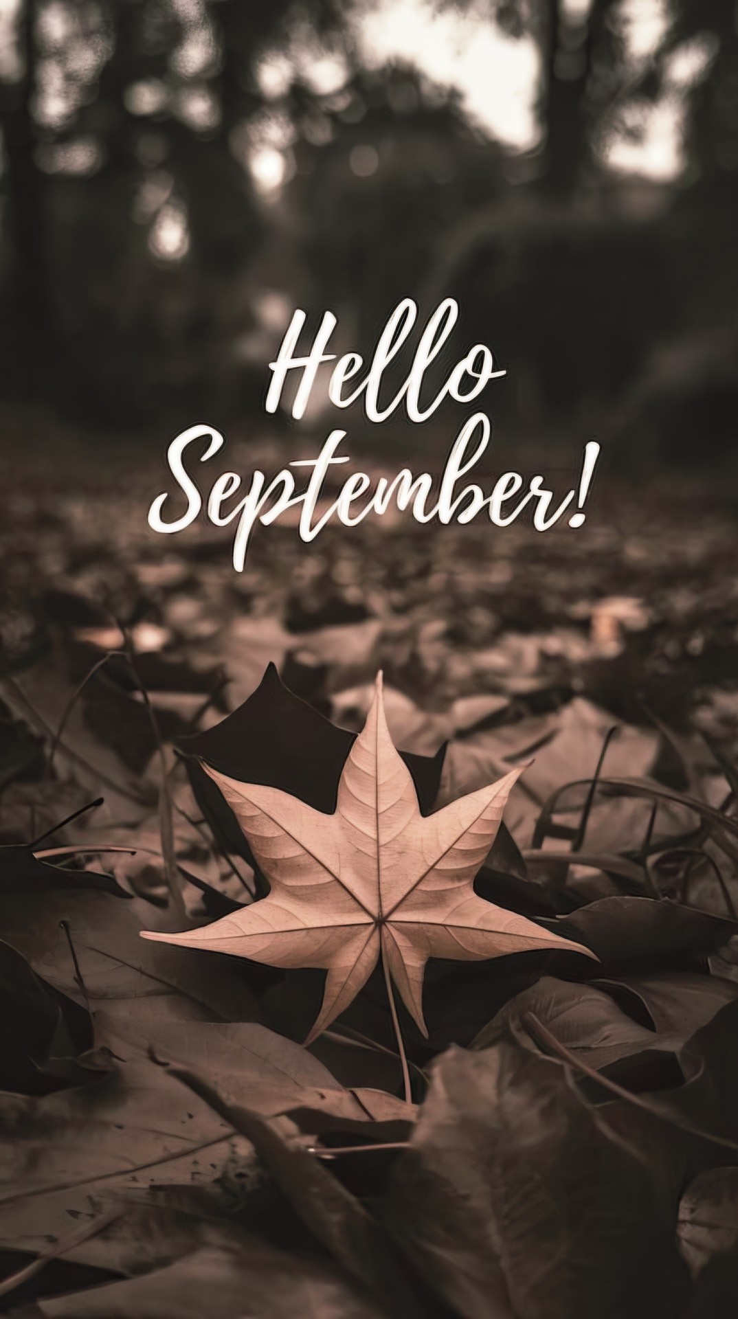 Hello September!