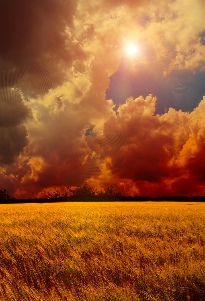 summer background