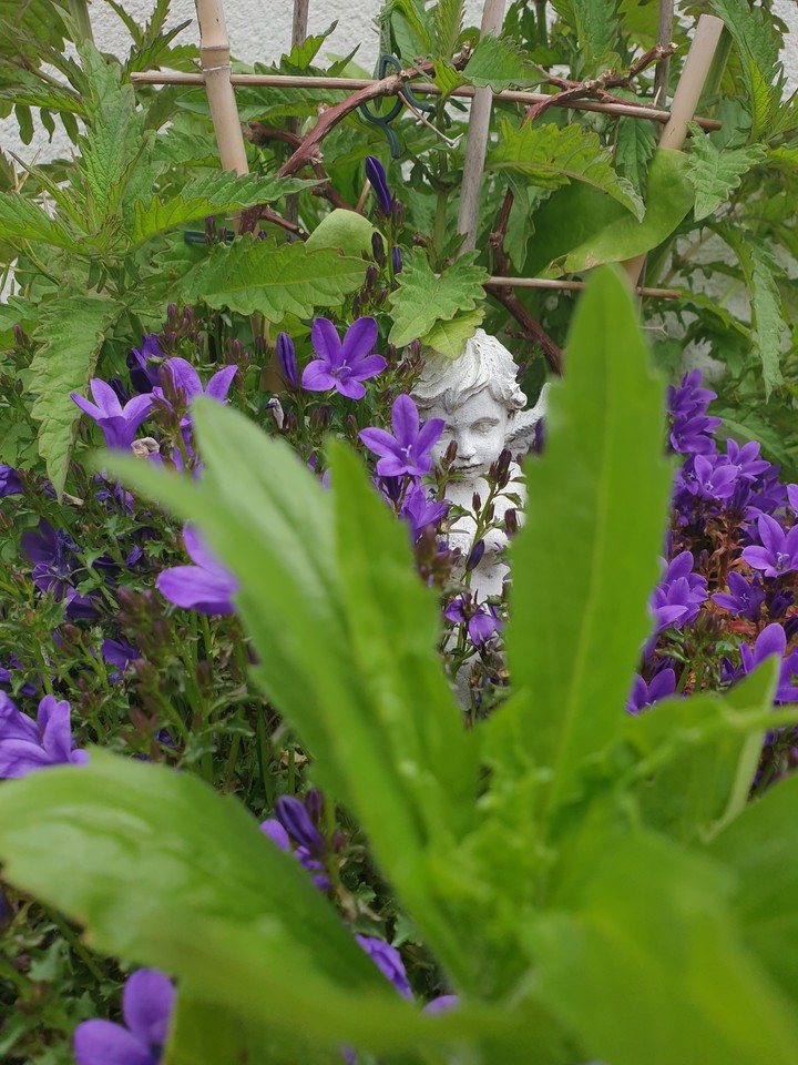 Hidden Angel