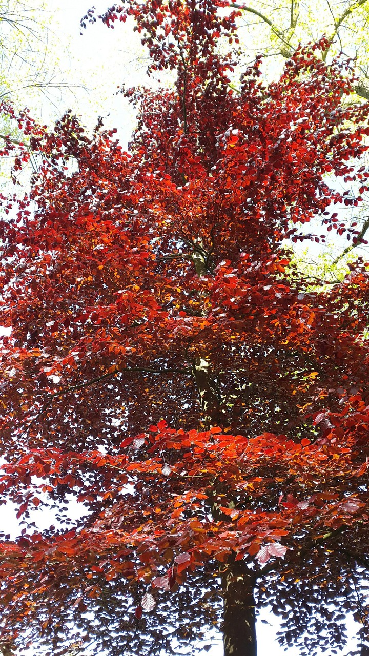 Autumn NWUK