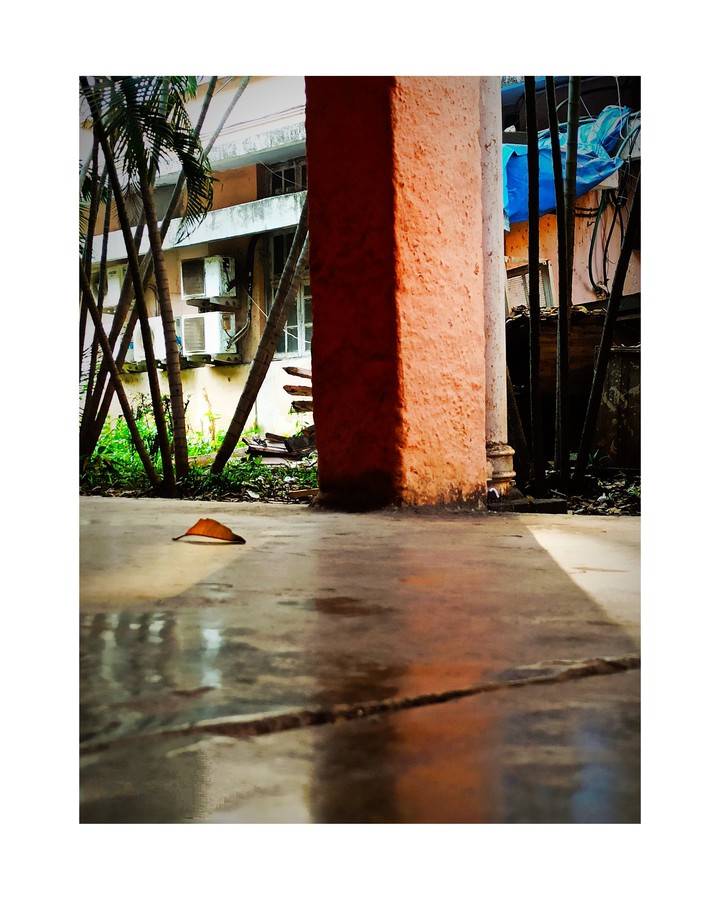What's a little sunshine in dark alleys? Ray of hope!