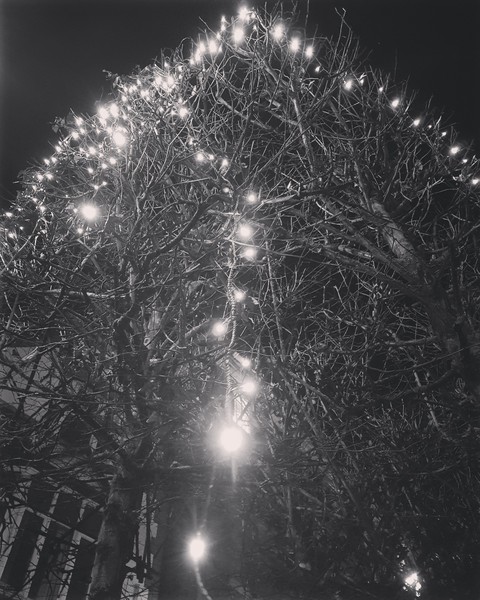 Trail of Light