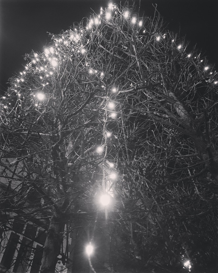 Trail of Light