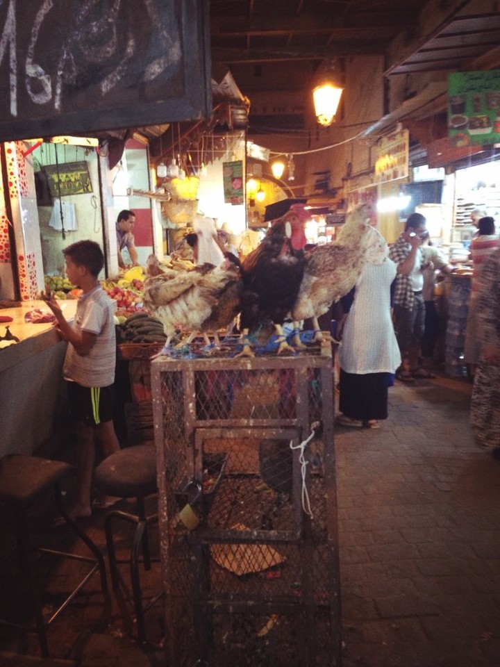 Marrocos 