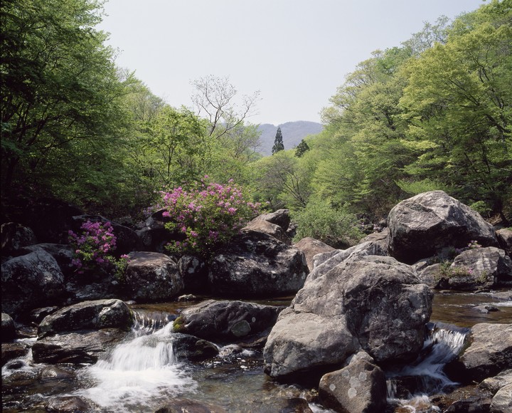 Seasonal Landscape