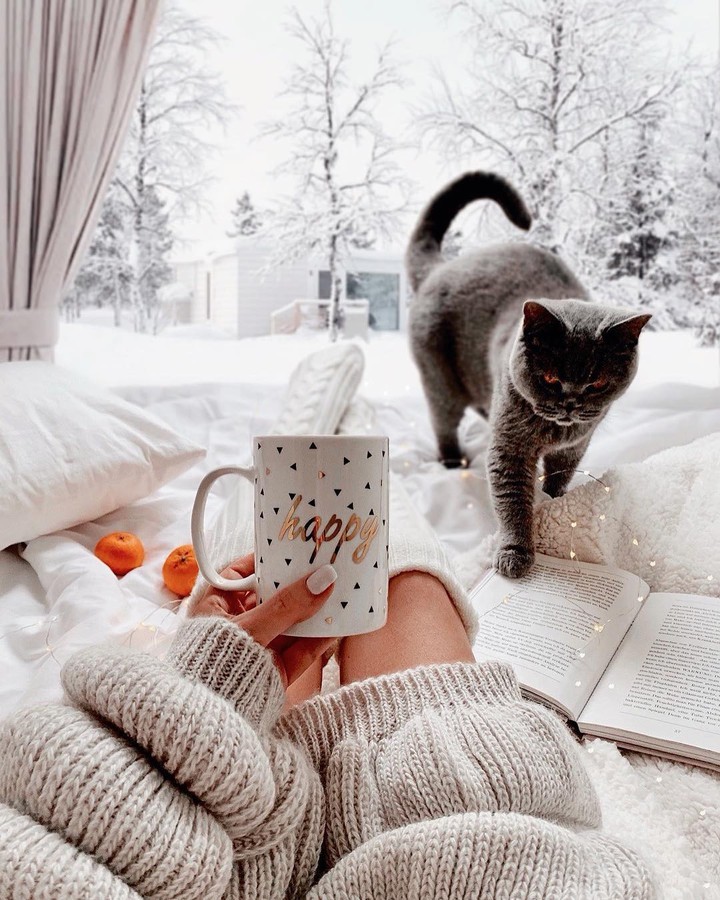 Whinter morning