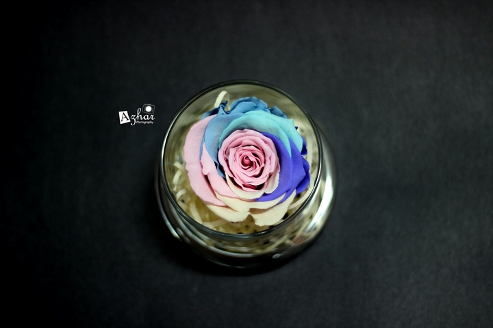 rainbow flower