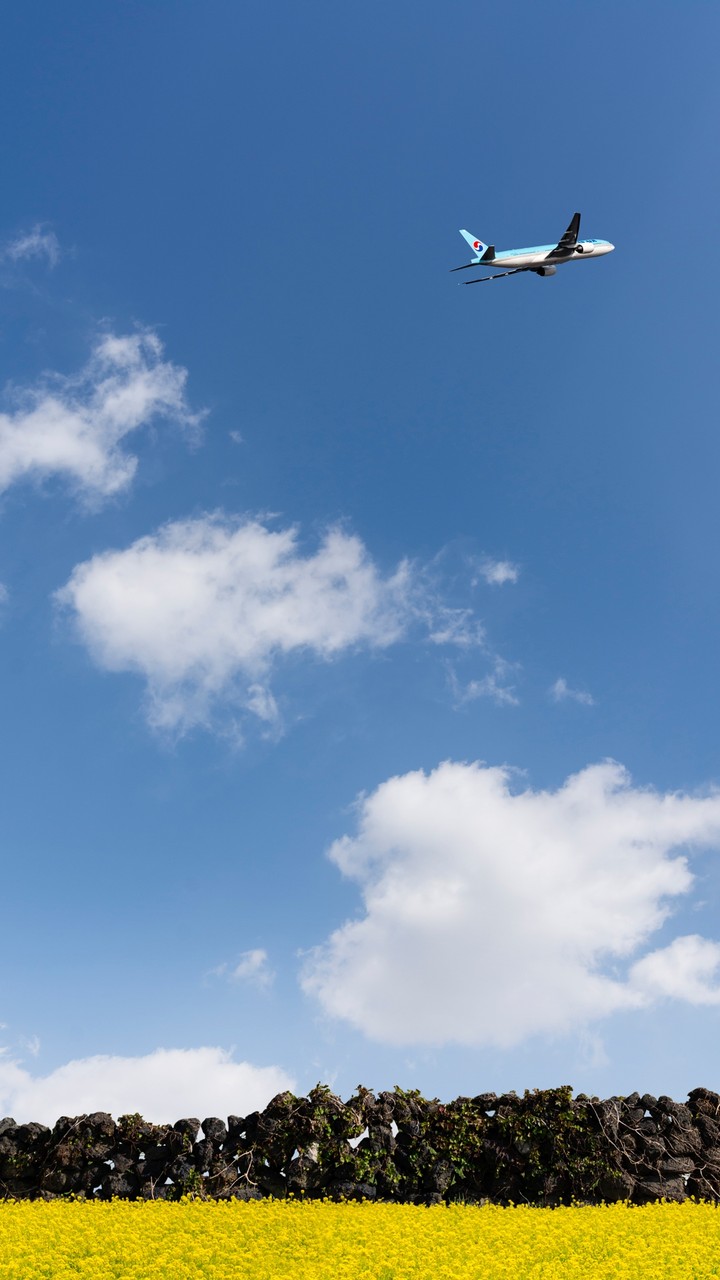 Flight