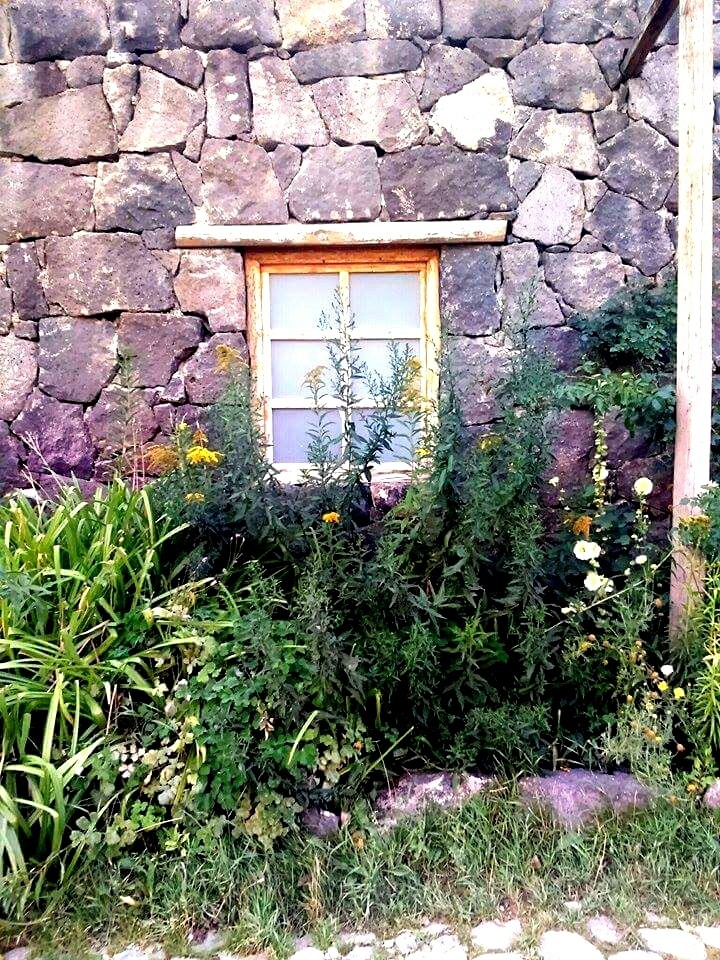 Lonely window