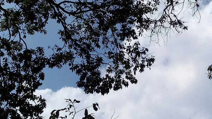paisaje