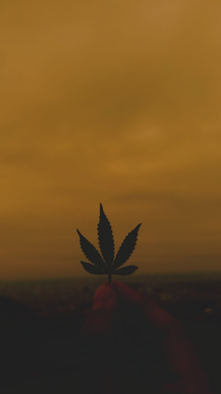 weed