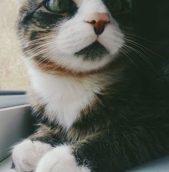 :)