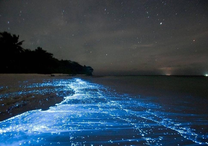 Maldives