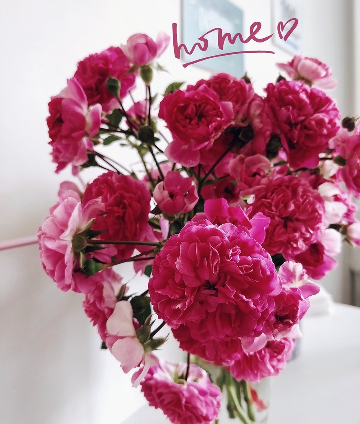 flowers pink цветы