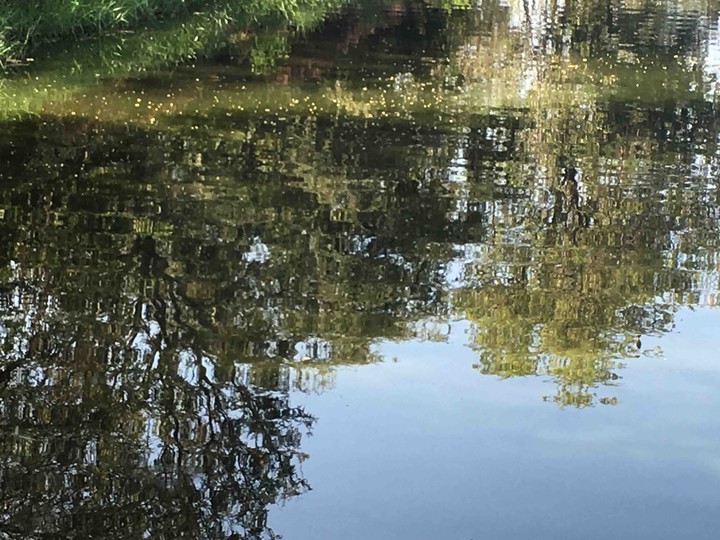 lake reflection