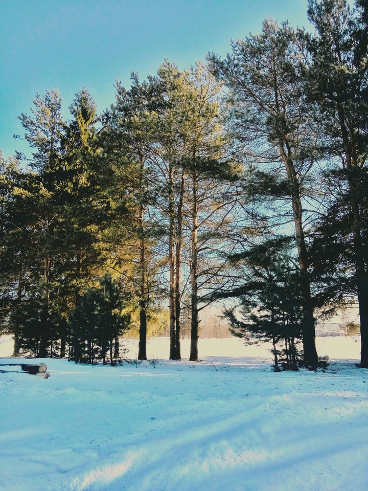 first sunny day of spring