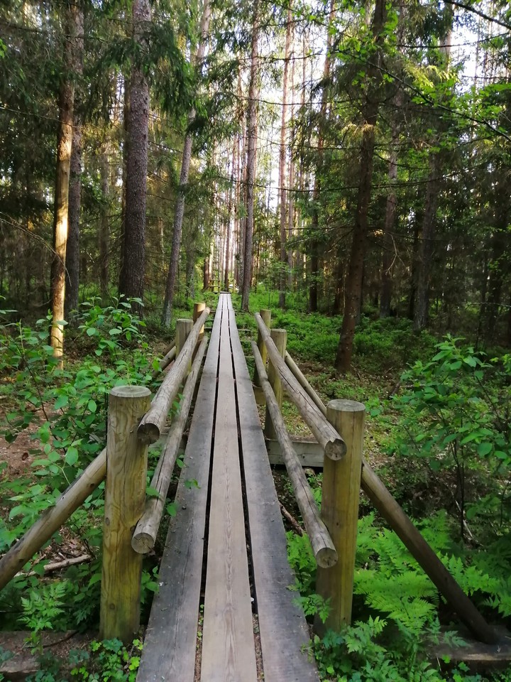 Pathway