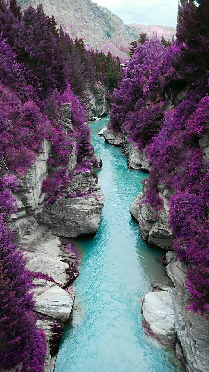 Telegram=@wallpapers_phone_pc