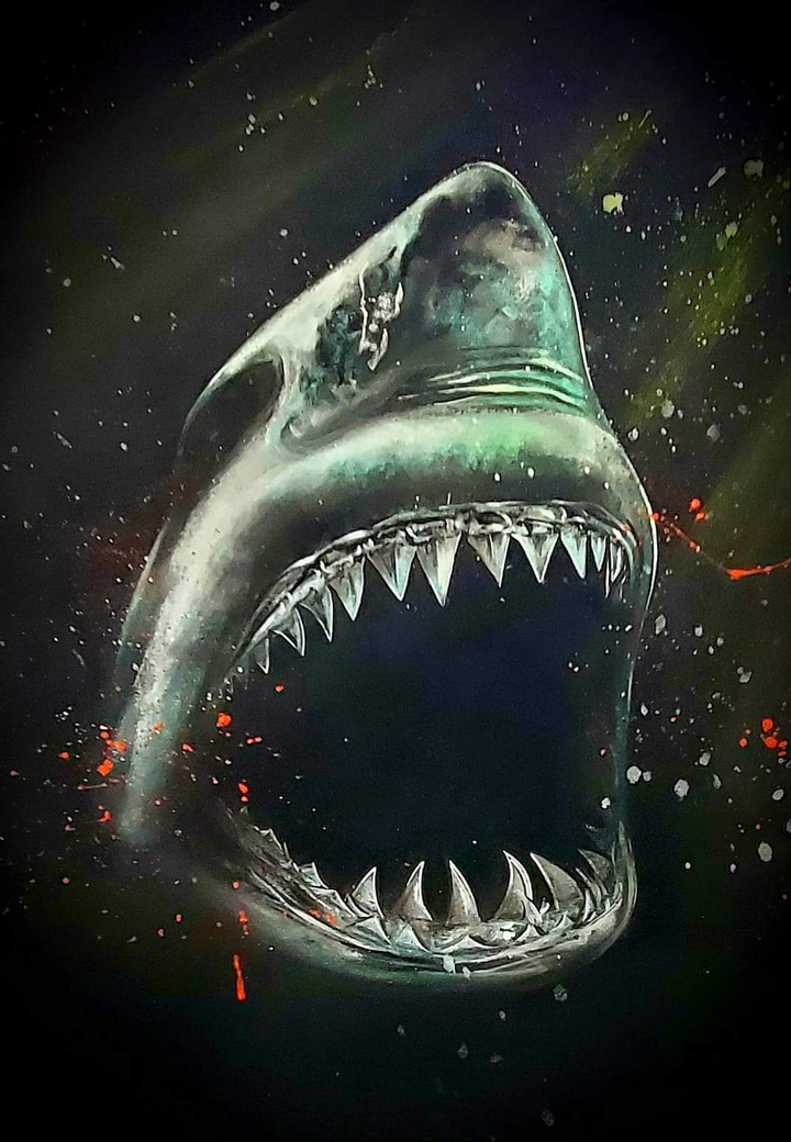 Shark