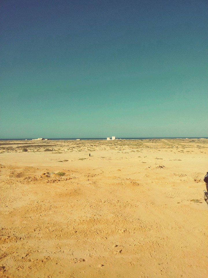 paysage