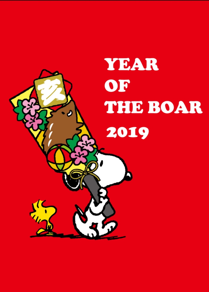 Snoopy with hagoita  New Year's (close-up detail)