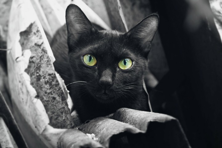 All about Eyes.