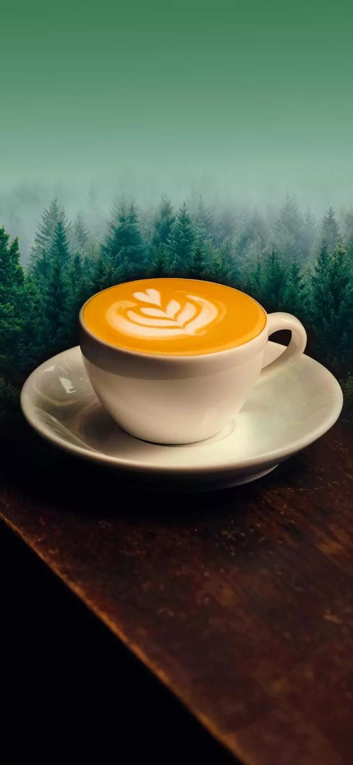 coffee