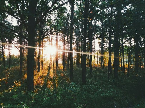 Morning