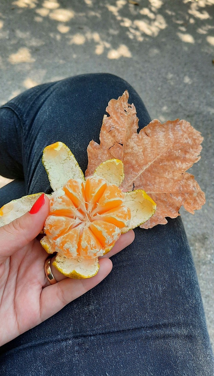 autumn?