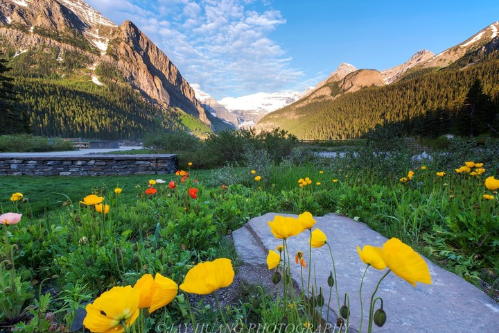 scenery