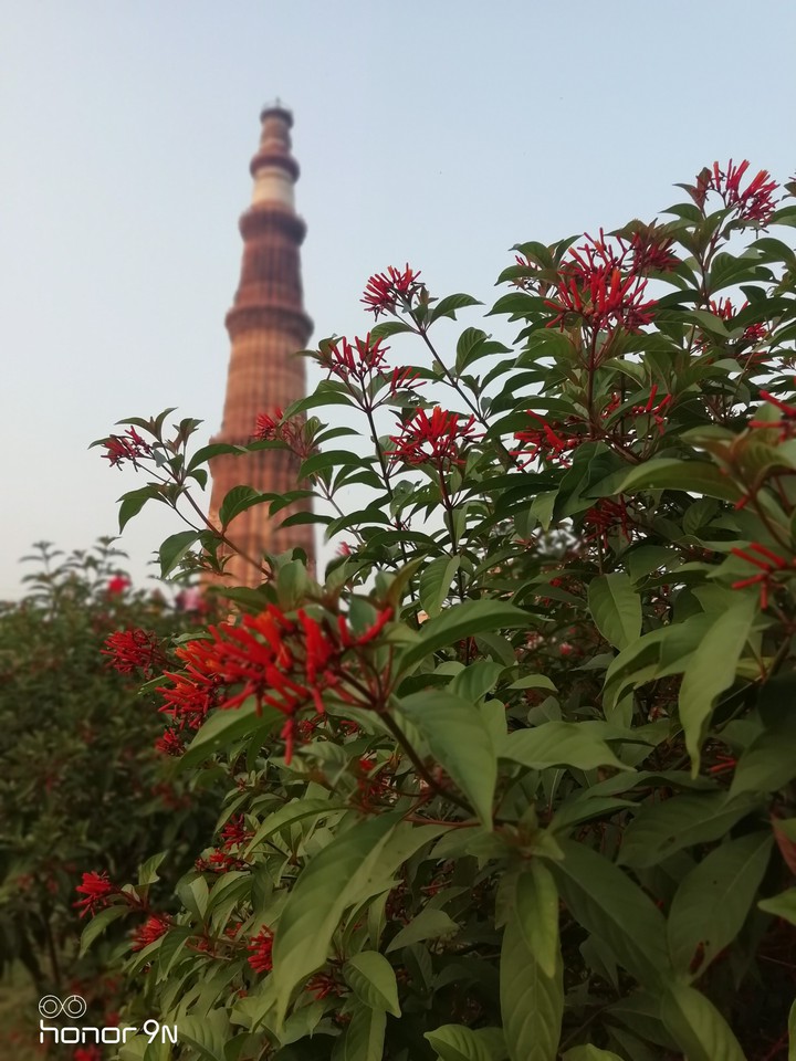 Qutub Minar