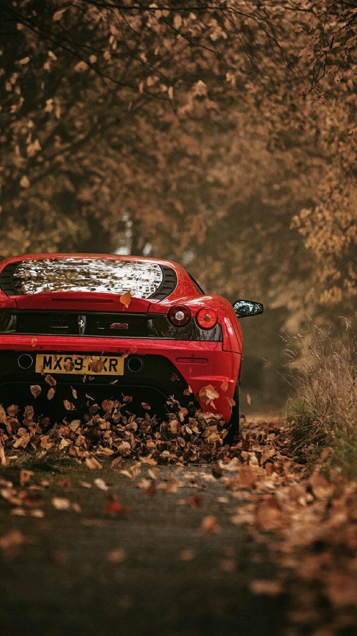 car...