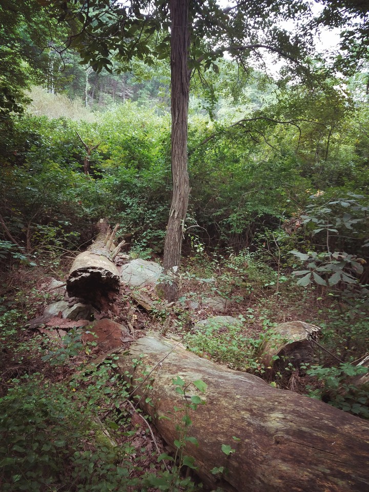 hiking