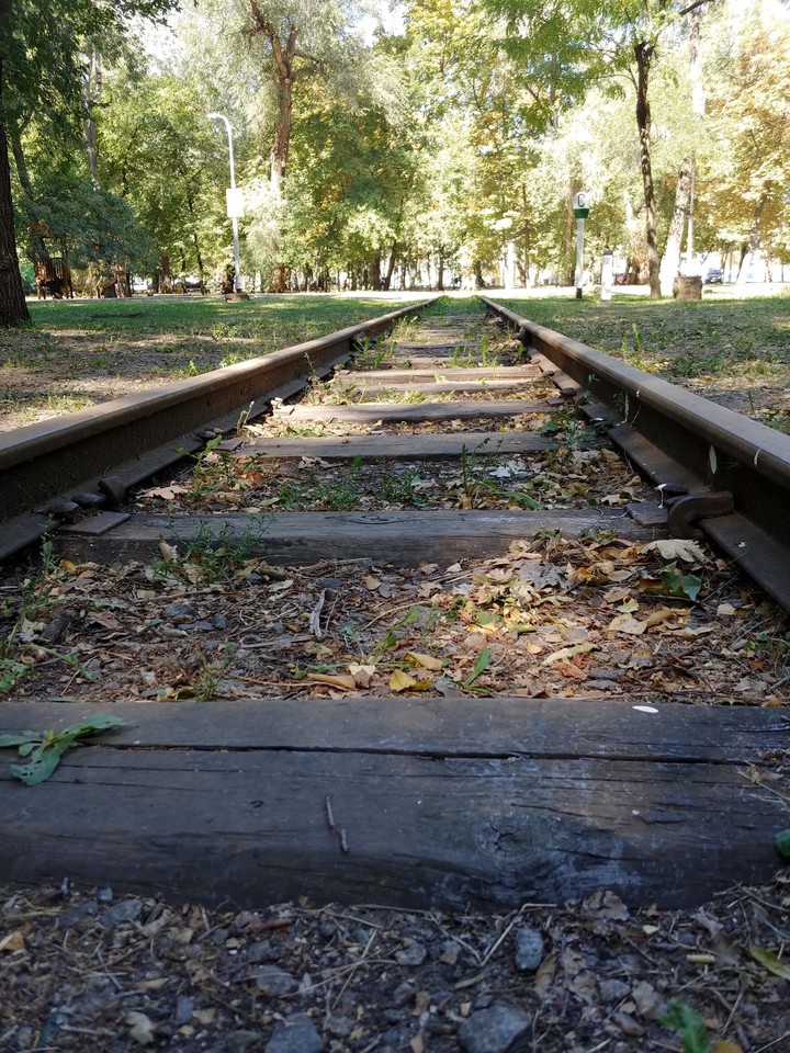 rails and fall