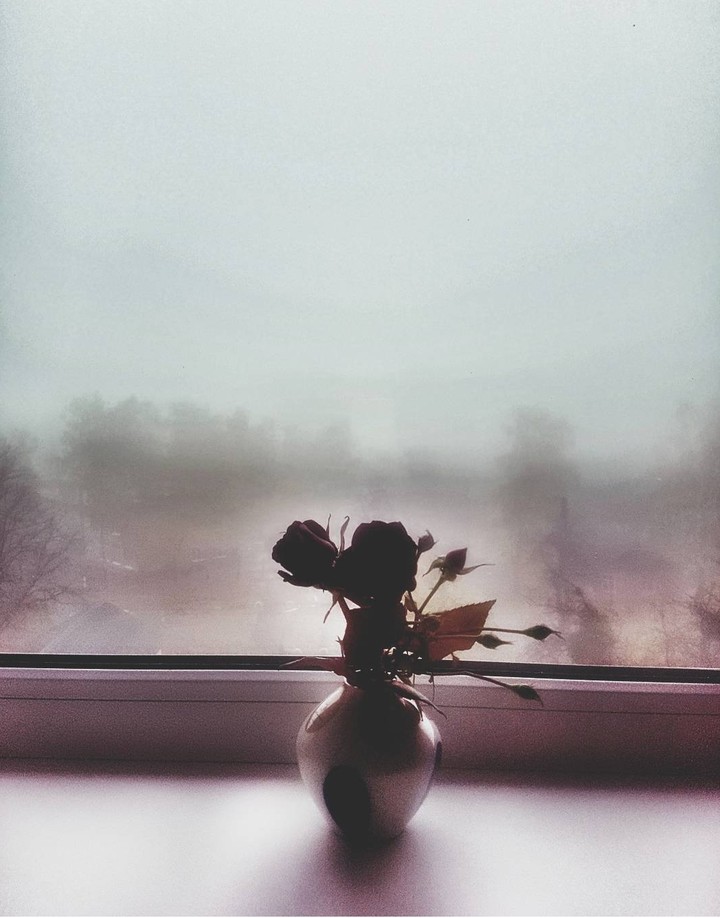 fog