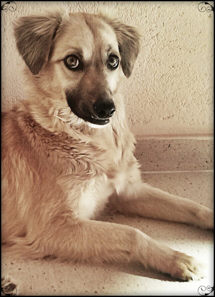 Lady❤
